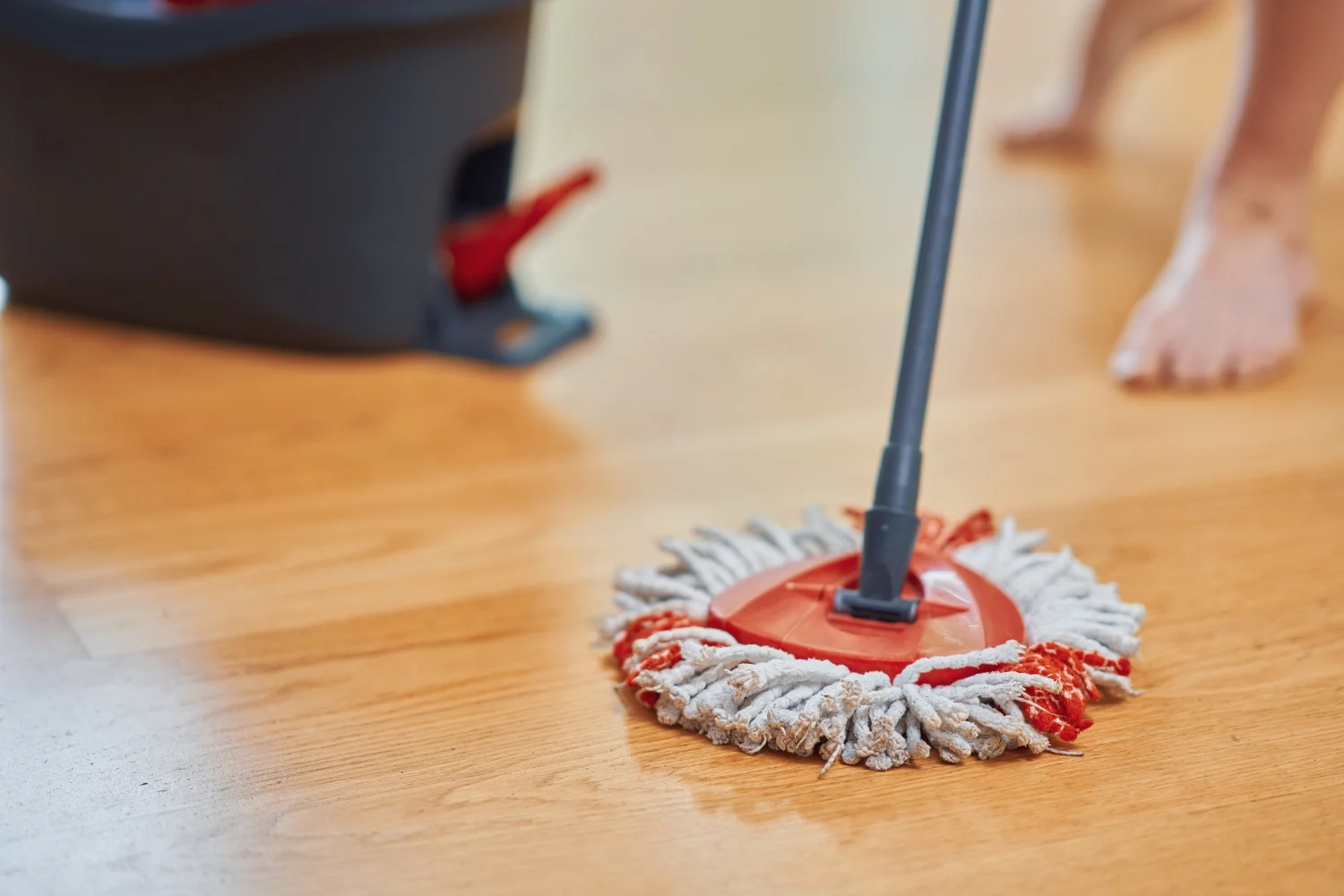 expert home cleaning services order expert home cleaning services order
