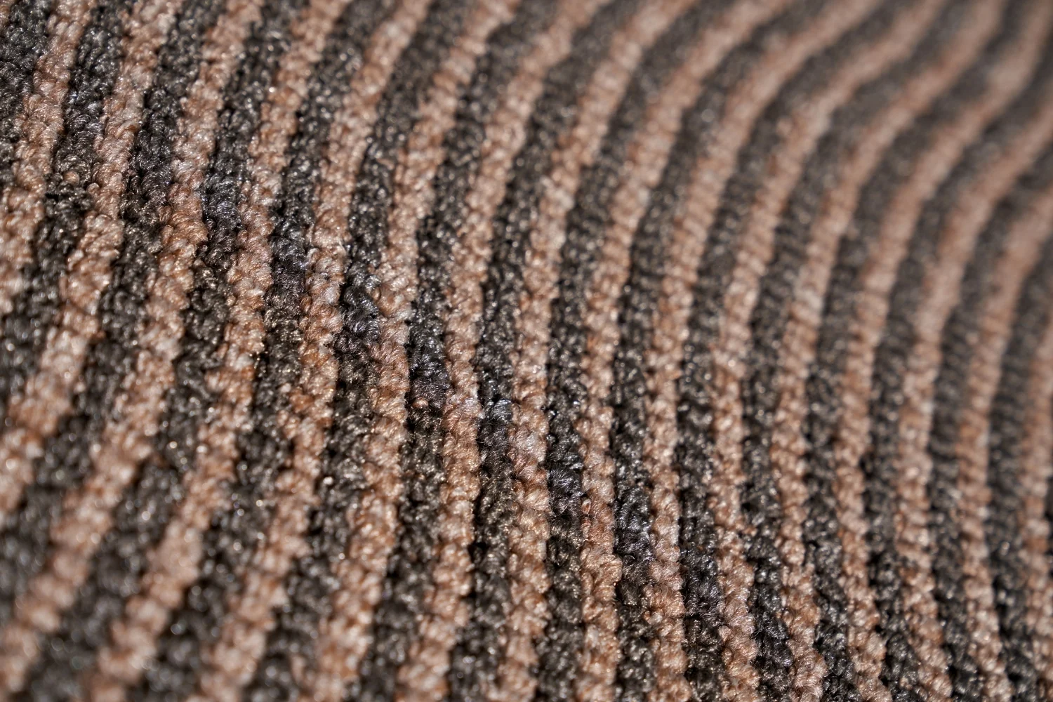 carpet house cleaning services