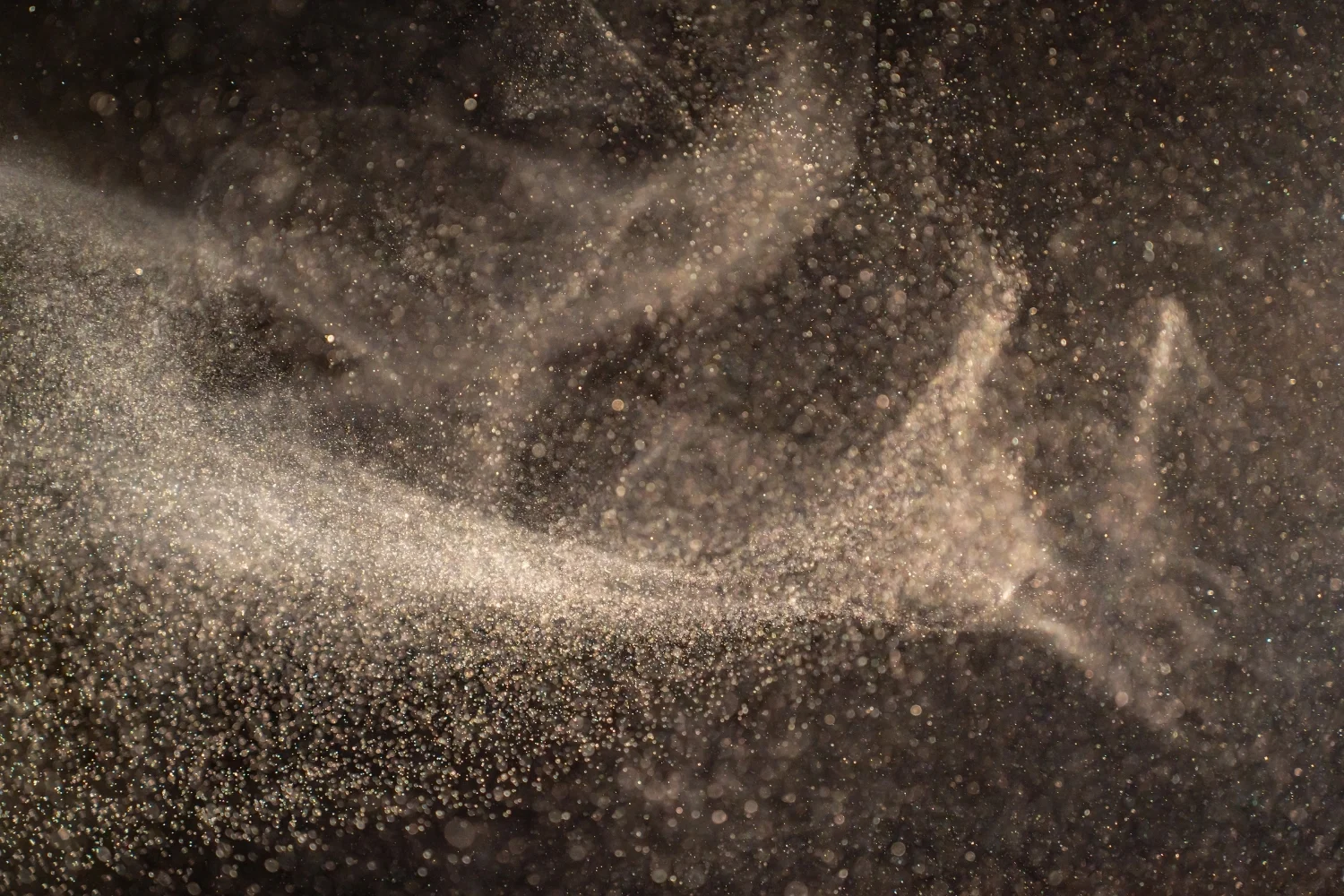 get rid of dust mites cleaners