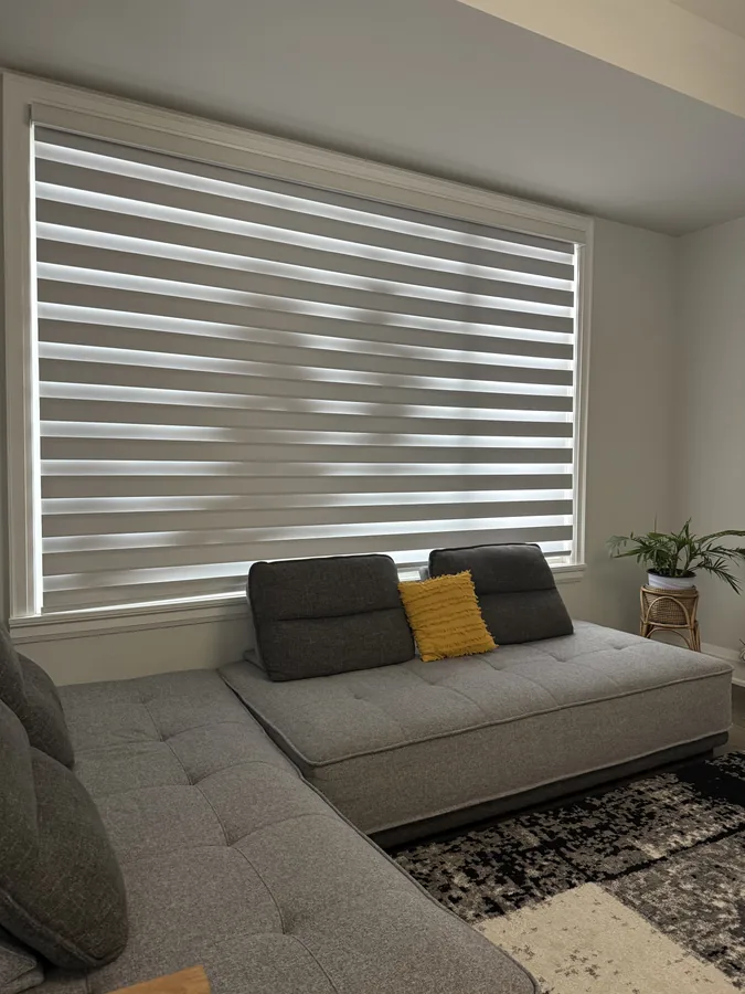 Professional cleaning in GTA - how to sanitize home after illness
