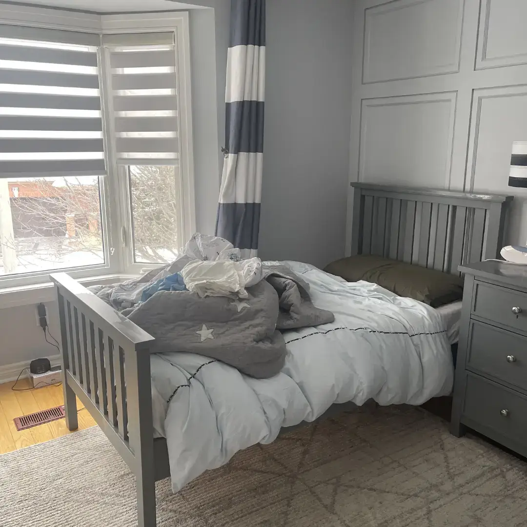professional cleaning services