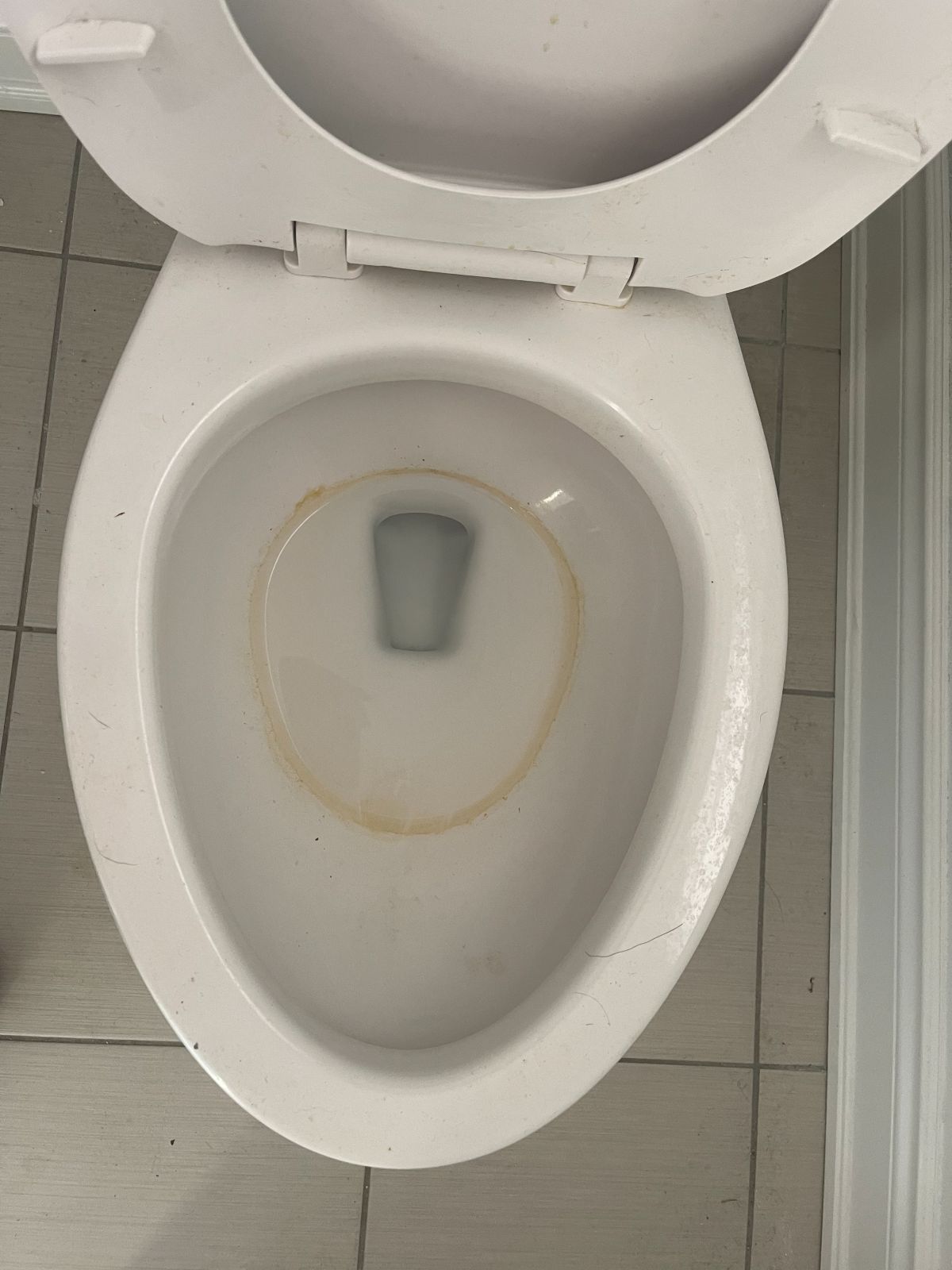 angus toilet cleaning service before
