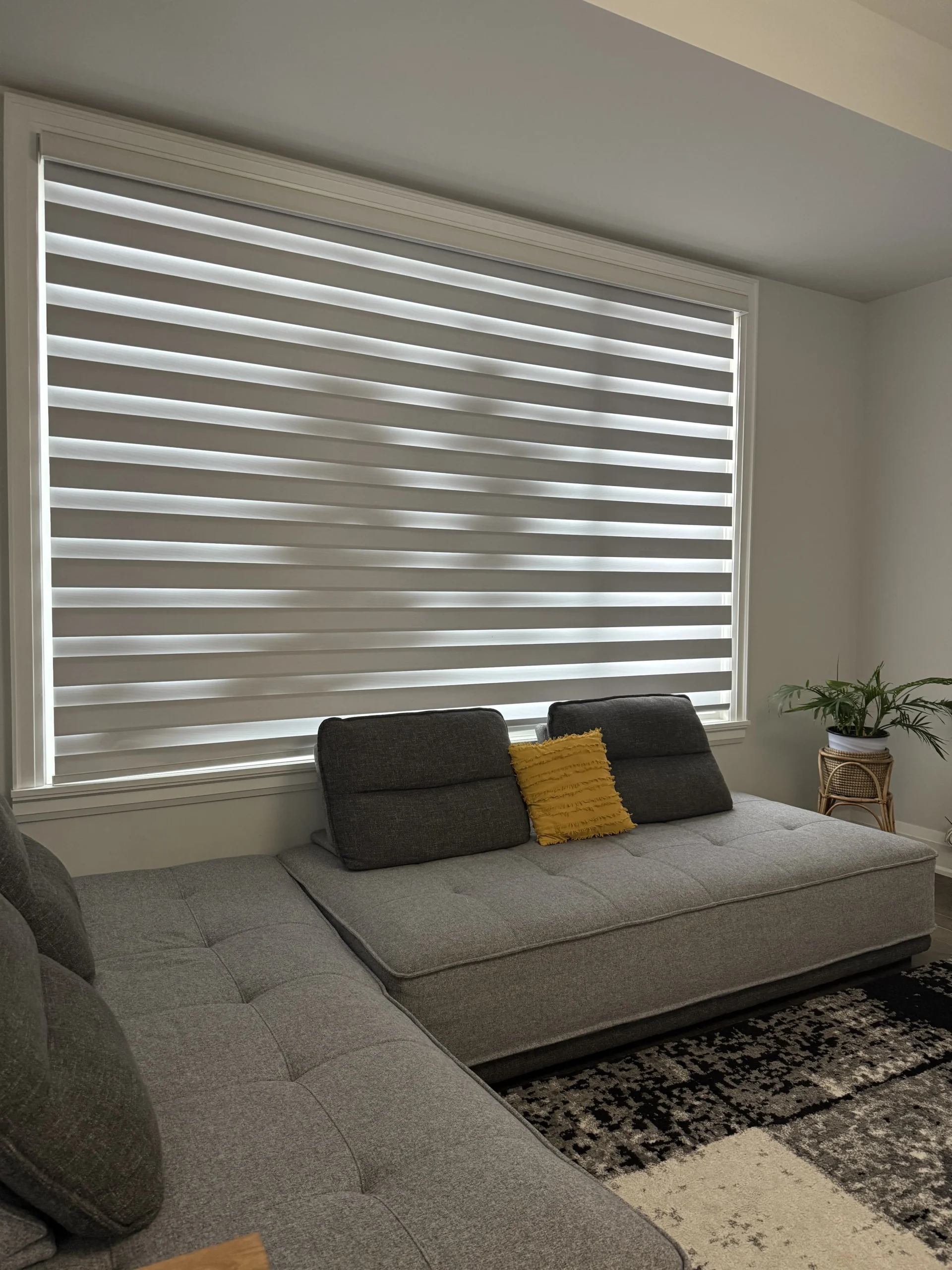 apartment cleaning sutton