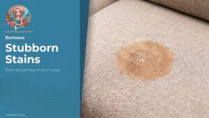 remove stains from couch