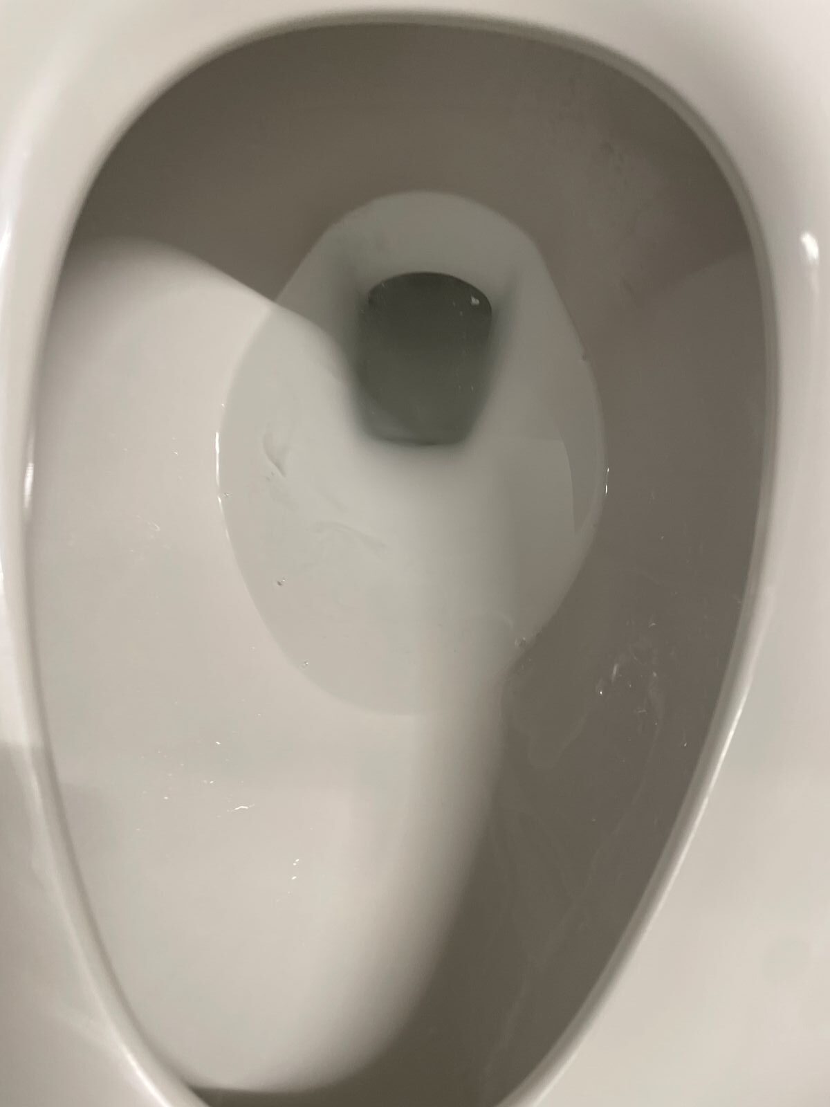Toilet Cleaning after