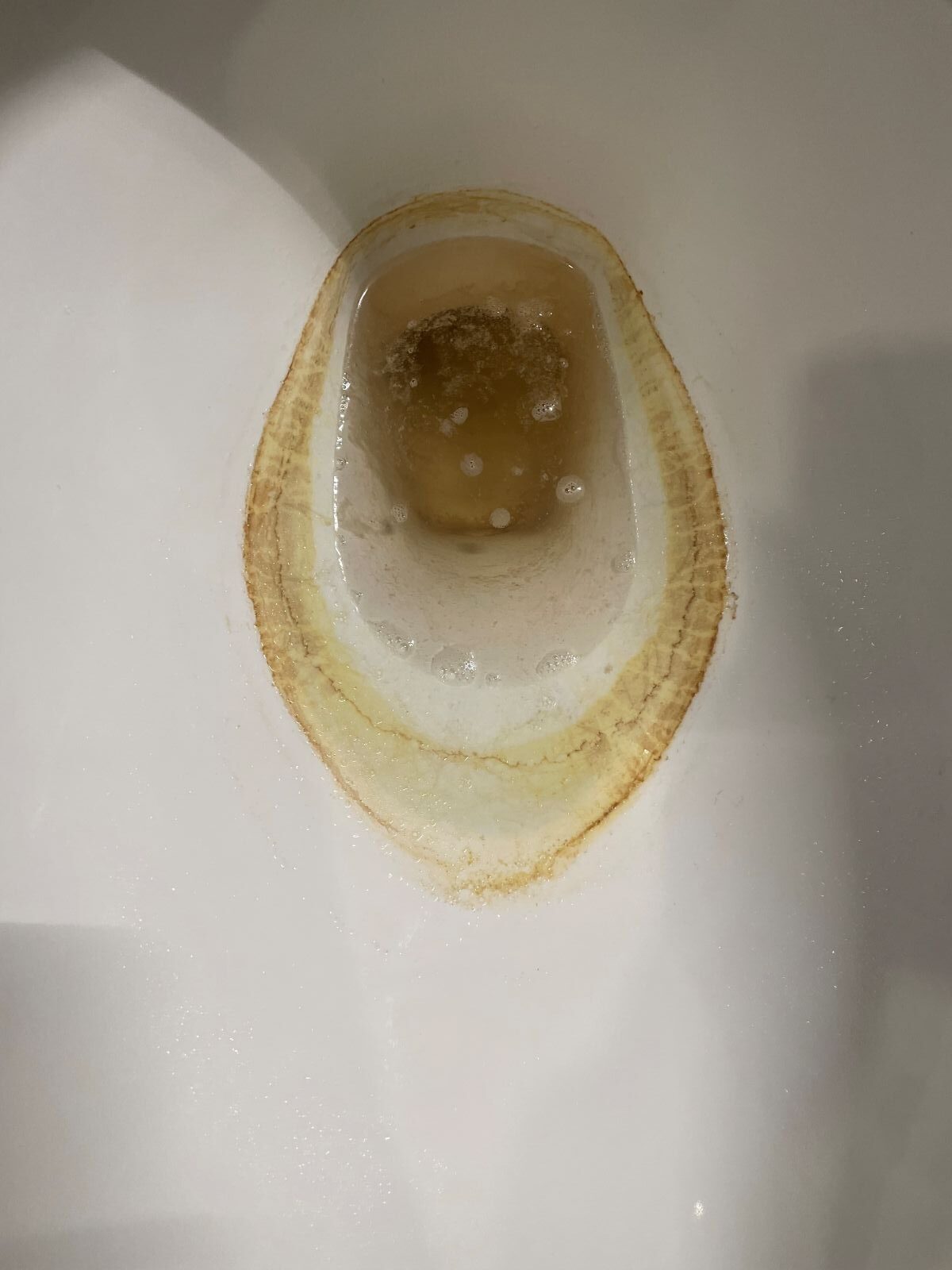 Toilet Cleaning before