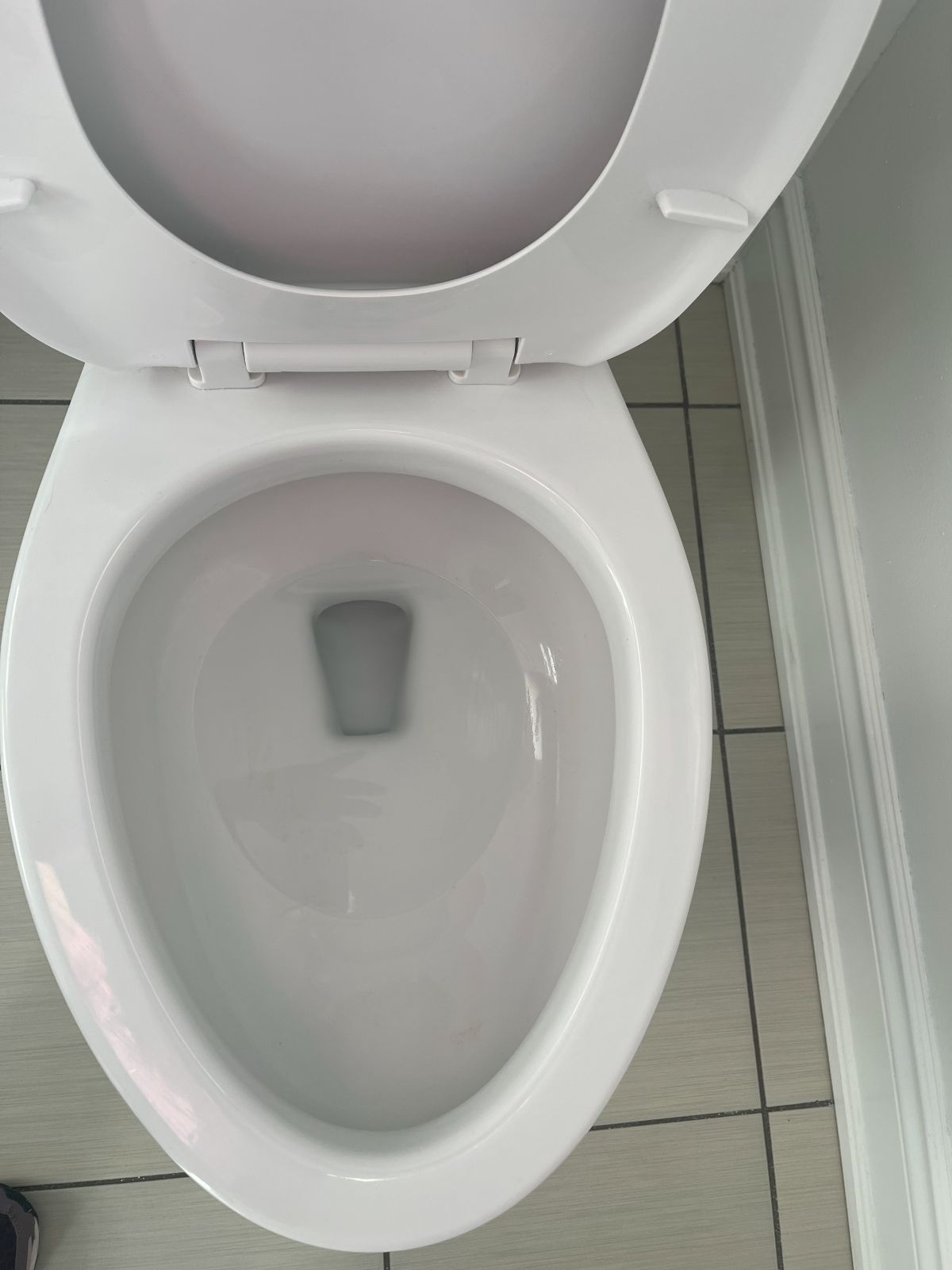 Toilet Cleaning service after