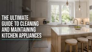 cleaning kithchen appliances