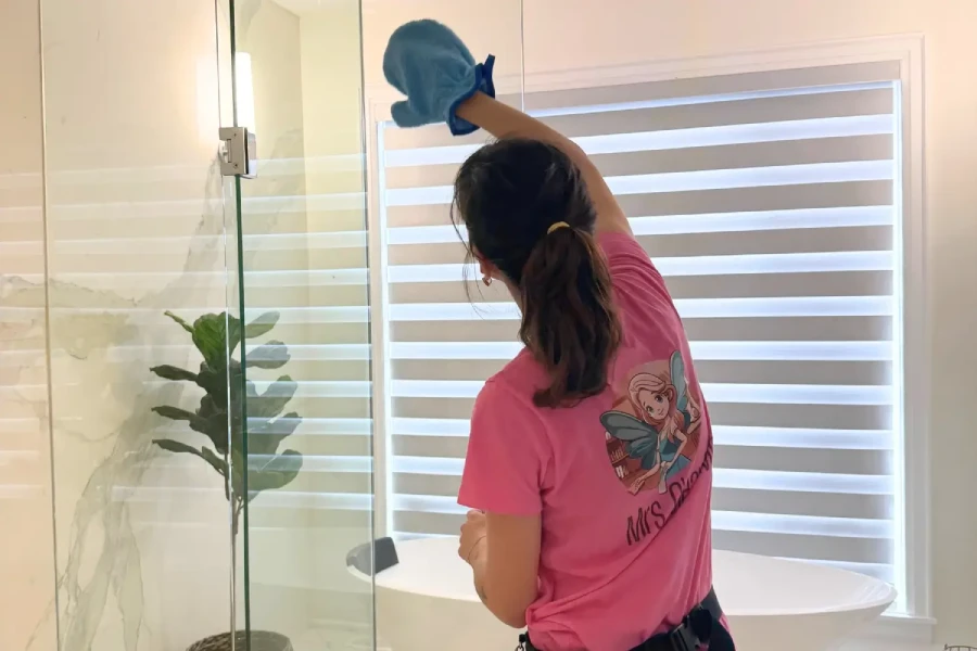 mrs cleanmol recurring cleaning plans