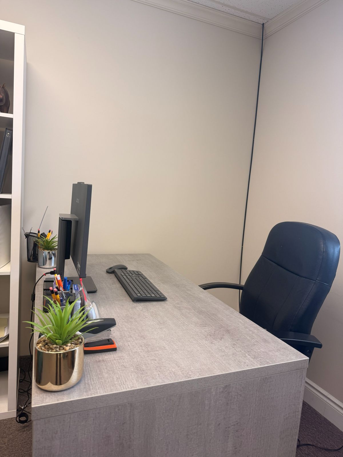 mrscleanmol biweekly office cleaning