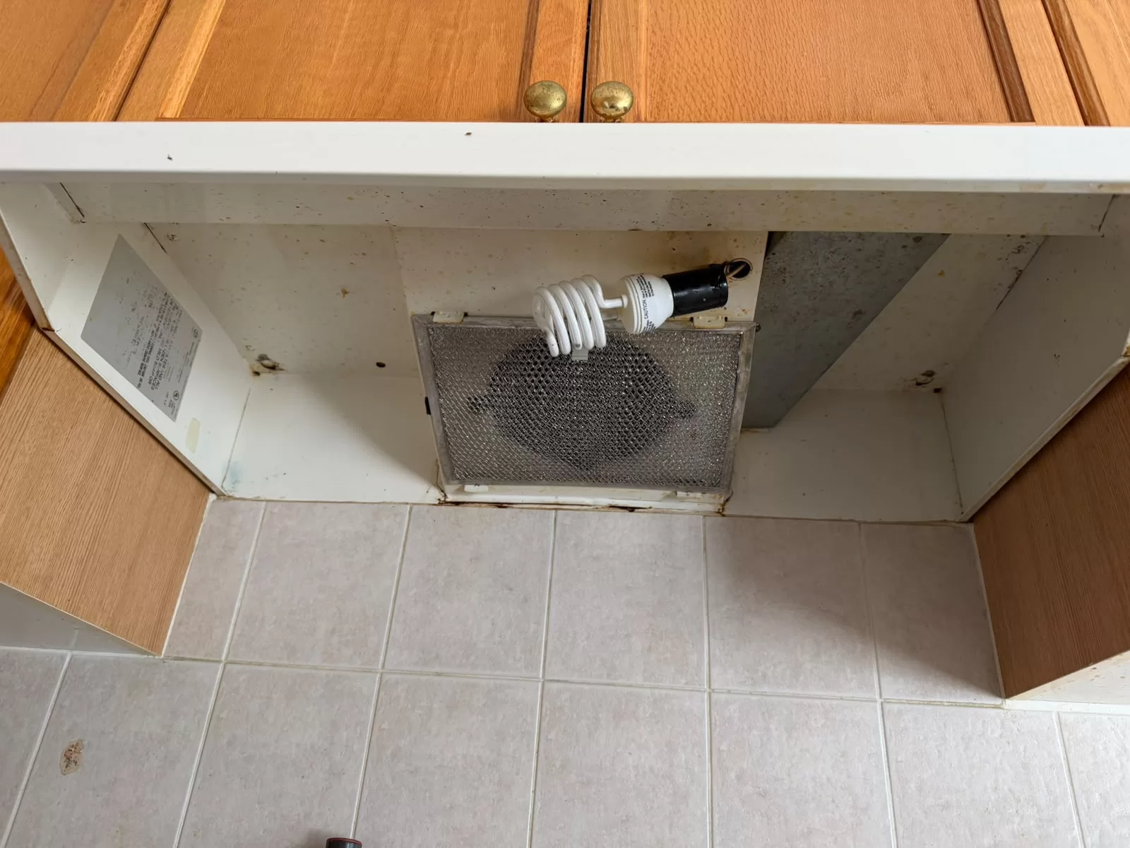 move in cleaners before