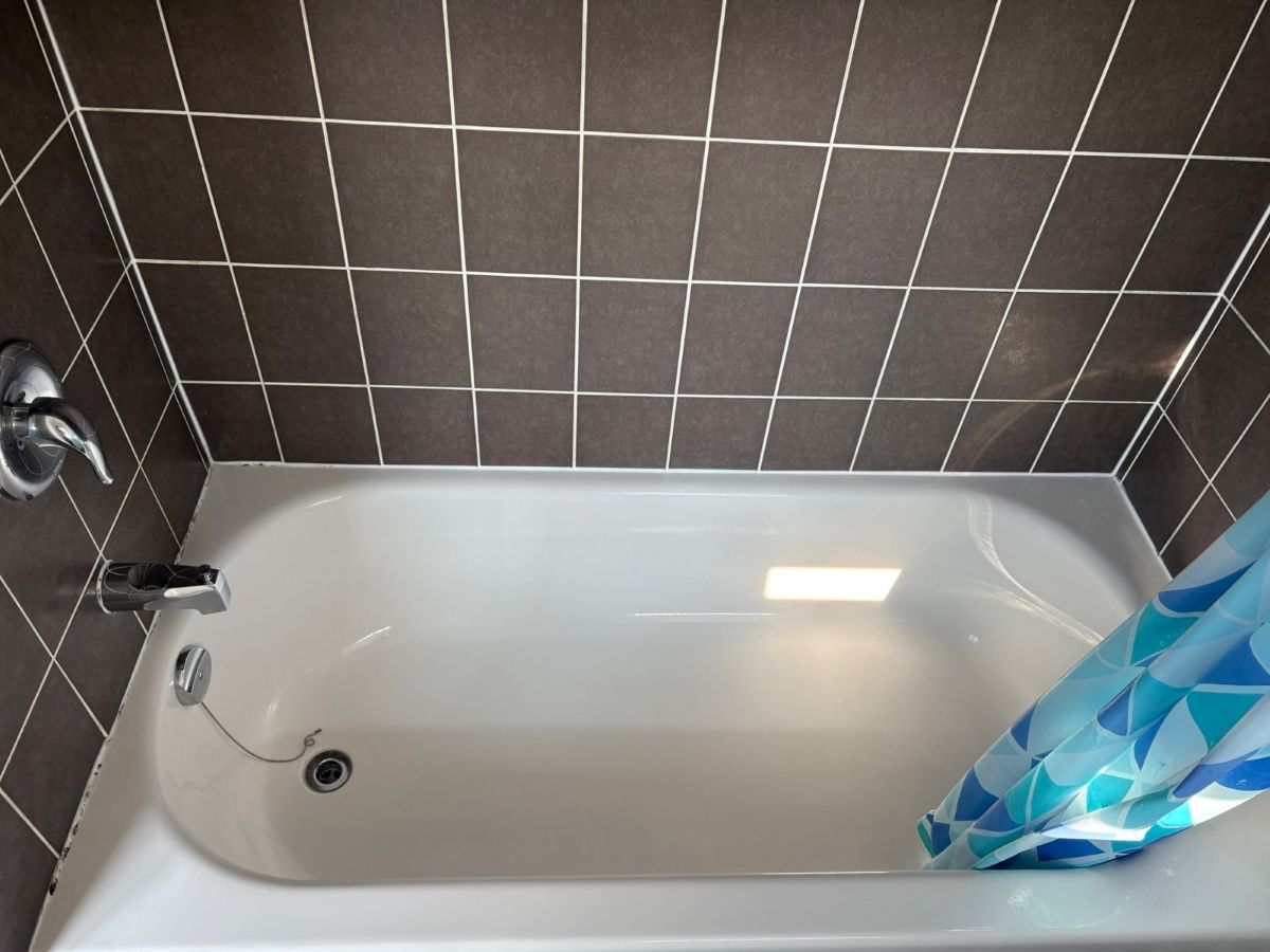 professional bathroom cleaning